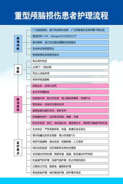 重型颅脑损伤患者护理流程