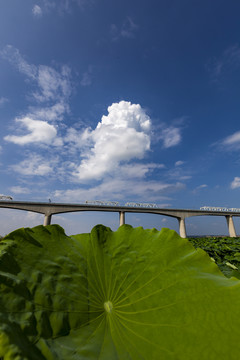 大西高铁黄河特大桥