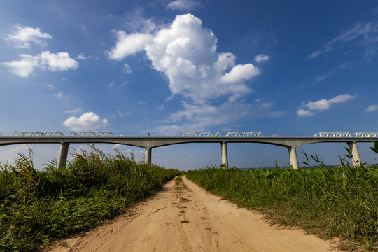 大西高铁黄河特大桥