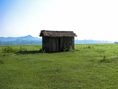 草地和木屋