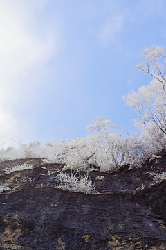 陕西汉中龙头山雪景