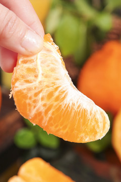 手里拿着柑橘