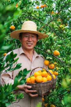 农民手里拿着橘子
