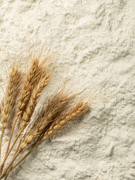 健康食材小麦面粉