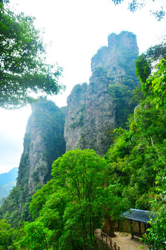 山栖谷隐