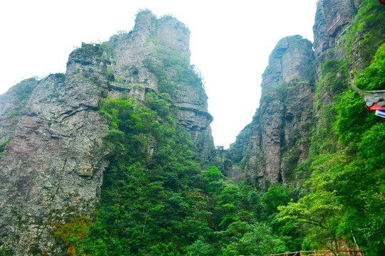 高山仰之