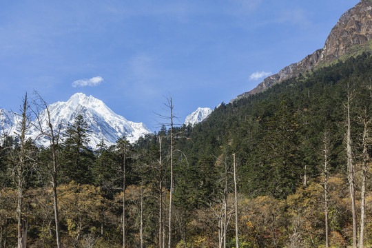 泸定县海螺沟贡嘎雪山