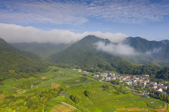 杭州龙井产地龙坞