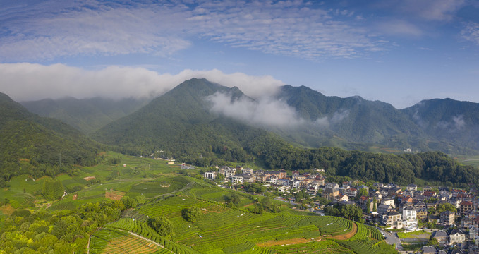 航拍州龙井产地龙坞