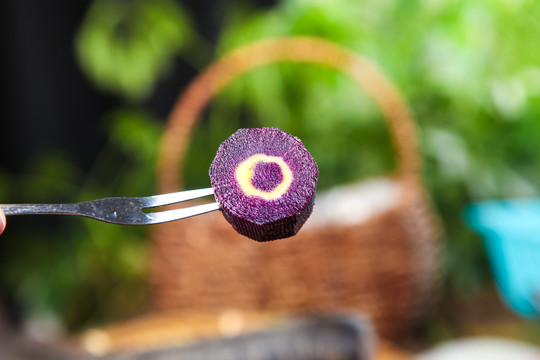 叉子叉着紫胡萝卜