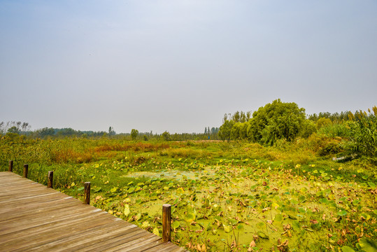 微山湖