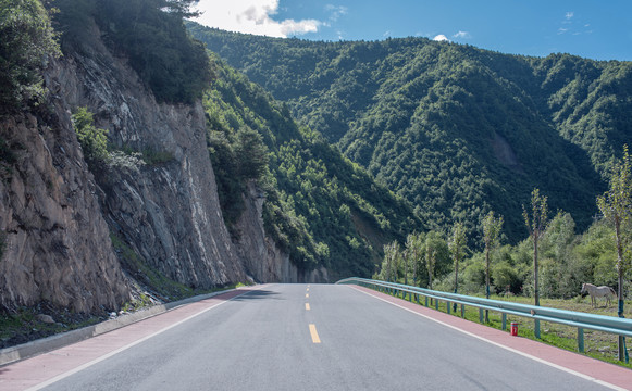 山下的大马路