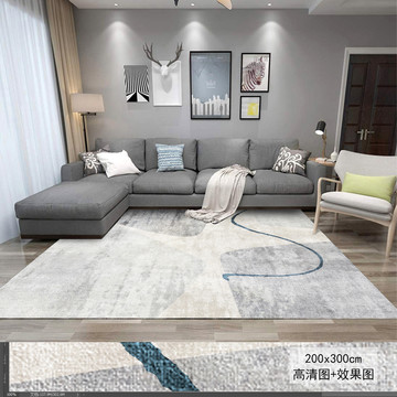現(xiàn)代簡(jiǎn)約北歐輕奢抽象地毯地墊