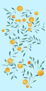 水彩橘子手绘