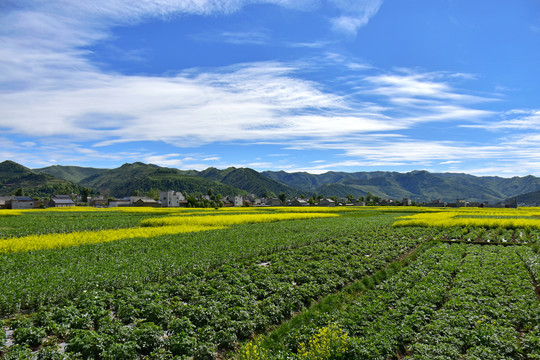 乡村风光