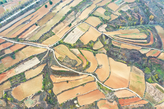 田园田野风光