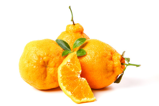新鲜的丑橘放在白底上