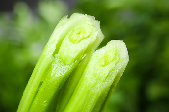 黑石板上的芹菜