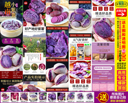 越南小紫薯详情页主图
