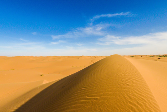 新疆阿拉善沙漠