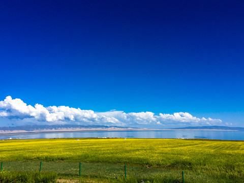 青海湖大美风景