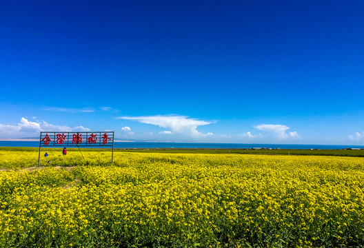 青海旅游