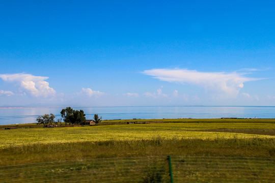 美丽的青海湖风景区