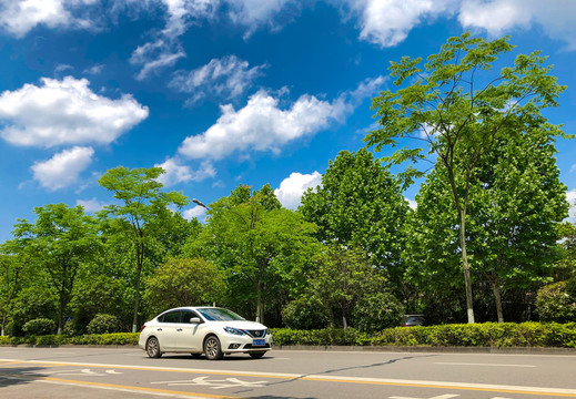 夏天马路上的汽车