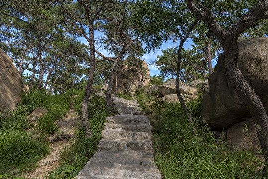 山东青岛崂山仰口风景区