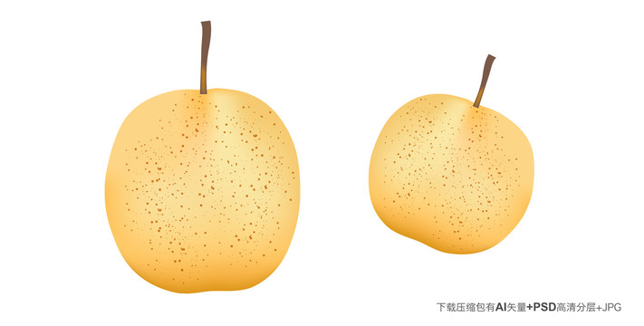 貢梨