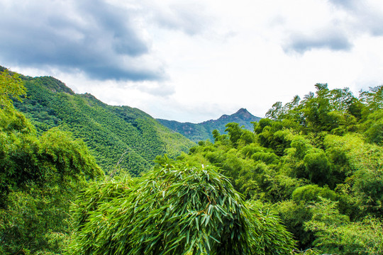 溧阳南山竹海