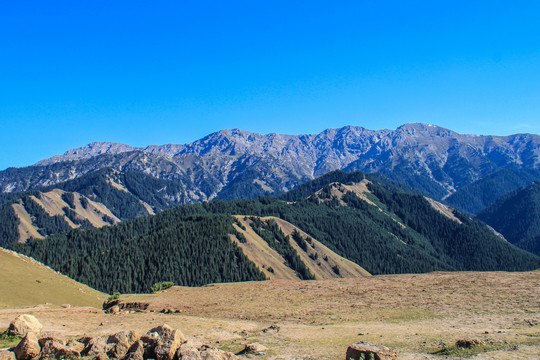 新疆天山