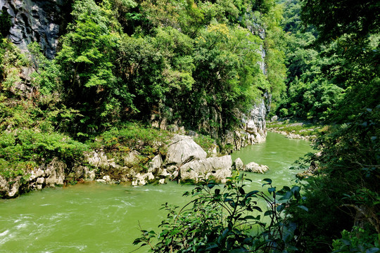 荔波樟江源流