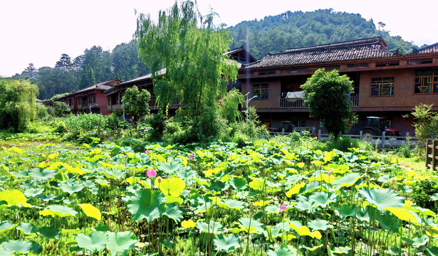 荔波水葩古村