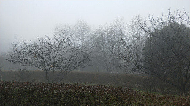 迷雾庄园