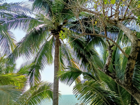 浪漫海南