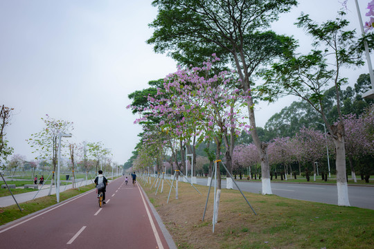 花道