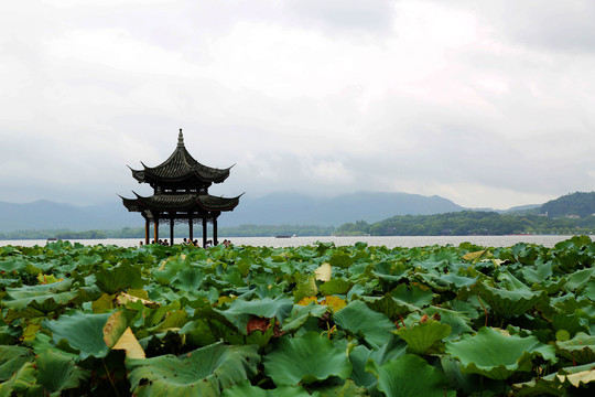 杭州西湖