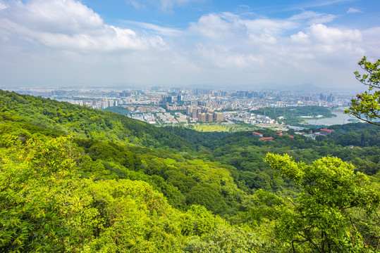 深圳凤凰山