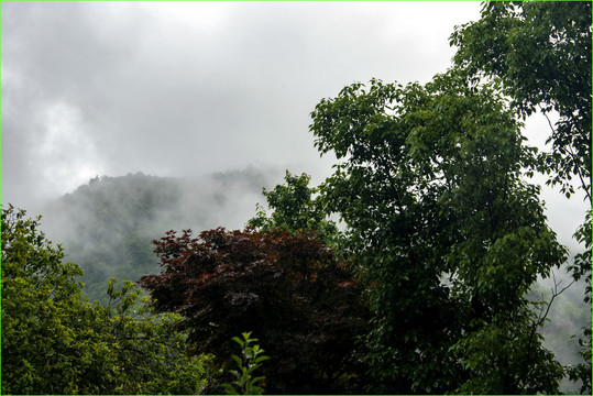 雨雾山