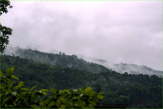 雨雾山