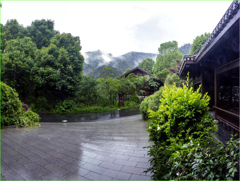 雨雾风景