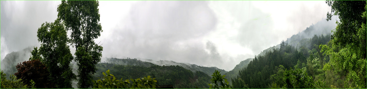 雨中山雾