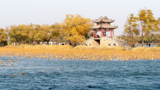 北京颐和园秋天风景