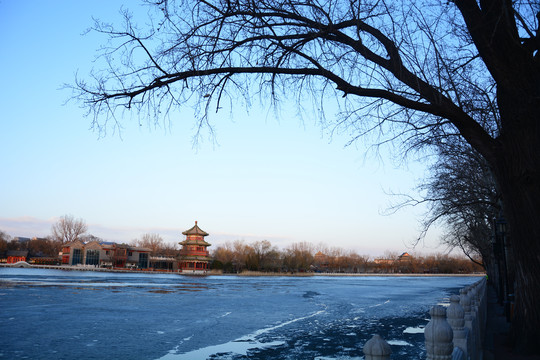 冬日后海风景