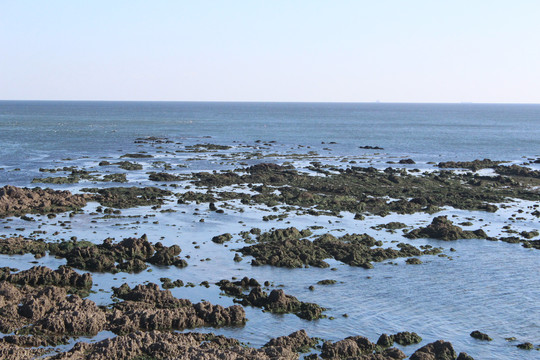 沿海滩涂湿地