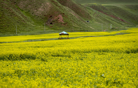 痳拉河村的风景