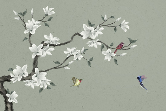 玉蘭花鳥畫