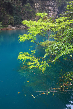 张家界大峡谷