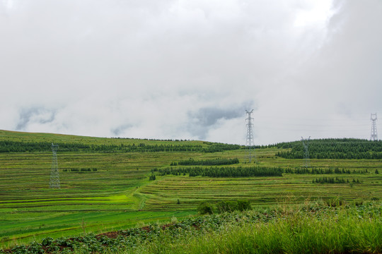 草原风光